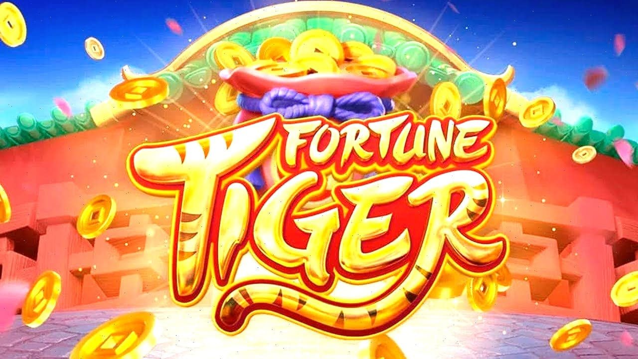 5566bet
