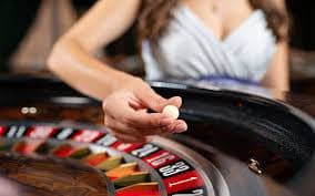 5566bet